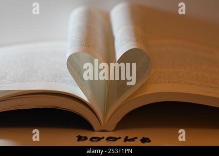 Buch-Liebhaber-Konzept, Lesen und die Liebe zum Buch-Konzept Stockfoto