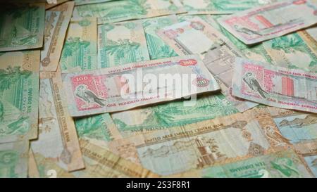 Die Dirham-Banknoten der Vereinigten arabischen emirate zeigen die komplizierten Designs und lebhaften Farben der Währung aus dem Nahen Osten, Stockfoto