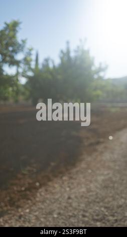Verschwommener, unscharfer Blick auf eine Landschaft im Freien in palma, mallorca, der den Bokeh-Effekt von Bäumen im Hintergrund und die erdige Textur von unterstreicht Stockfoto
