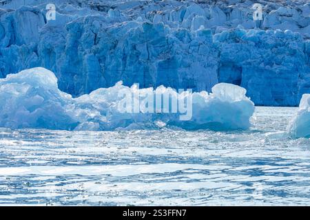 Gletscherfragmente, die im Meerwasser in unmittelbarer Nähe eines Gletschers am Rand des grönländischen Eisschildes schwimmen. Evighedsfjord, Grönland Stockfoto