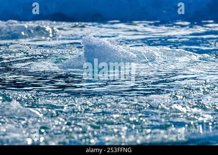 Nahaufnahme von Eisfragmenten, die im Meerwasser in unmittelbarer Nähe eines Gletschers schwimmen, der den grönländischen Eisschild entwässert. Evighedsfjord, Grönland Stockfoto