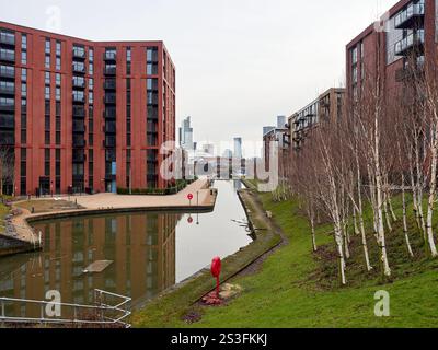 Salford , Manchester, Großbritannien, 01-04-2025: Middlewood Locks. Moderne urbane Kanalszene mit roten Backsteinhäusern und Birkenbäumen. Stockfoto
