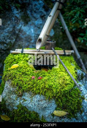 Japanische Schreine Wasseraufbereitungsritual Tmizu oder Chozu Stockfoto