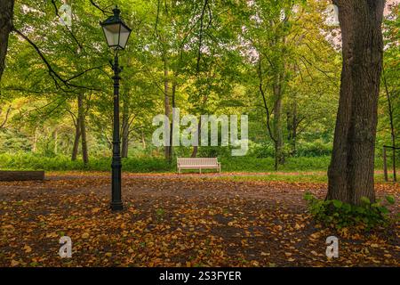 Leere Bank im Park in Herbstfarben Stockfoto