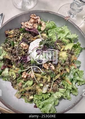 Gesundes Salatgericht mit Linsen, Walnüssen, Avocado, Salatsprossen und Mozzarella darüber. Vegetarisches Gericht in einem Restaurant. Stockfoto