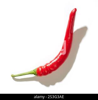 Einzelne Chilischote isoliert auf weißem Hintergrund. Chili-Pfeffer im Ganzen Stockfoto