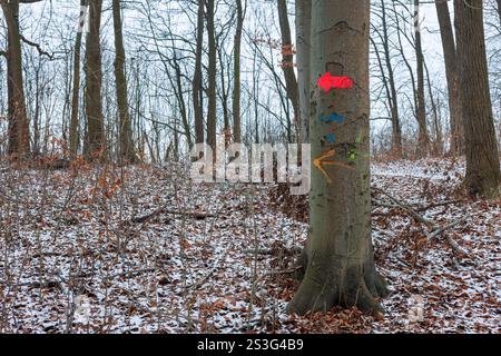 Rote und gelbe Pfeile zeigen eine Touristenroute auf einem Baumstamm in einem schneebedeckten Park an. Nach-links-Pfeile. Stockfoto