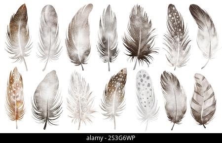 Aquarellset Vogelfedern Stockfoto