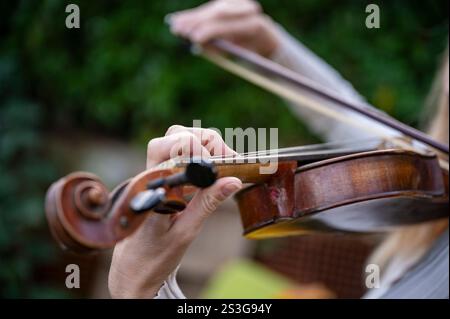 Eine detaillierte Nahaufnahme der Hände eines Geigers, während sie gekonnt Geige spielen und sich auf Bogen und Streicher konzentrieren, vor einem üppig grünen Hintergrund. Stockfoto
