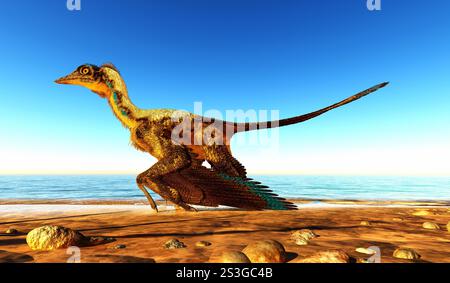 Archaeopteryx gilt als die früheste Vogel und war eine Brücke zwischen Dinosaurier und Vögel. Stockfoto
