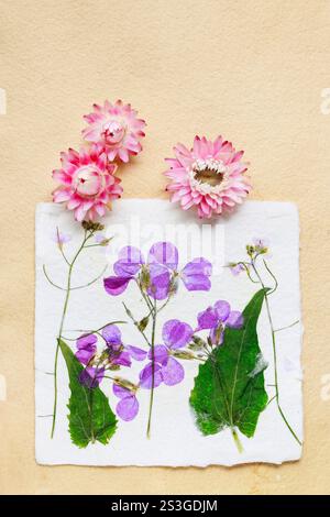 Getrocknete gepresste Blumen auf Vintage-Papier Hintergrund, Kopierraum Stockfoto