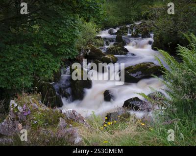 Der Wasserfall am Fluss, der aus Watendlath Tarn über Derwentwater im Lake District fließt Stockfoto