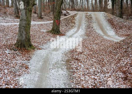 Drei Wege für Radfahrer im Winterpark der Stadt. Gelbes Laub und Schnee. Stockfoto