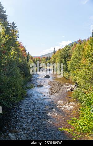 Der malerische Zealand River fließt durch üppige grüne Wälder in der Nähe des Sugarloaf Mountain im White Mountain National Forest, New Hampshire. Der Fluss windet sich durch Stockfoto