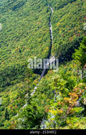 Die malerische Eisenbahnstrecke führt durch üppige Wälder am Mount Willard in New Hampshire. Die malerische Szene fängt die Schönheit der umgebenen Bahngleise ein Stockfoto