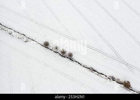 Luftaufnahme mit Linien in der Winterlandschaft, 4 Bäumen am Bach und Traktorspuren in den Feldern, Riesa, Sachsen, Deutschland, Europa Stockfoto