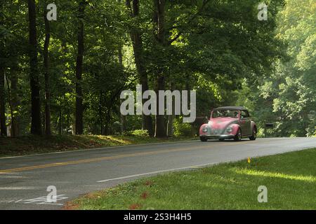 Ein Volkswagen-Käfer mit Cabriolet auf der Straße Stockfoto