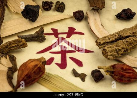 Zutaten für einen Tee in der traditionellen chinesischen Medizin. Heilung von Krankheiten durch alternative Methoden. Österreich Stockfoto