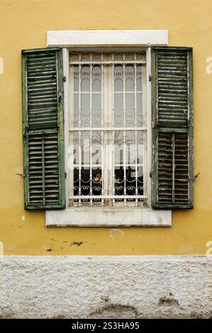 Stockfoto von einem alten, ungeschützten Fenster mit einem Grill und abgeschälter Farbe auf Fensterläden vertikale Hintergrundstruktur Zypern Limassol Stockfoto