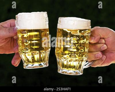 Zwei Tassen mit Bier und Bierschaum beim Toasten, Österreich, Europa Stockfoto