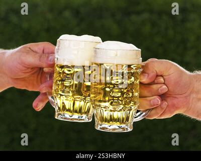 Zwei Tassen mit Bier und Bierschaum beim Toasten, Österreich, Europa Stockfoto