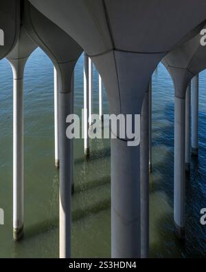 Abstrakte Ansicht von Little Island in NYC mit seinen skulpturalen Betonsäulen, die aus dem Hudson River ragen und Architektur mit Natur verbinden. Stockfoto
