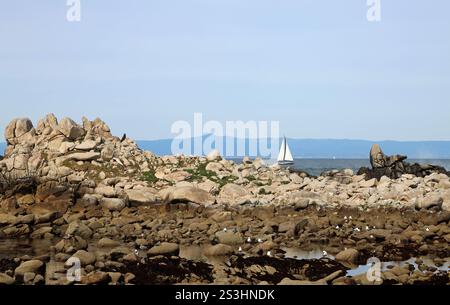 Segeln in Monterey Bay, Kalifornien Stockfoto