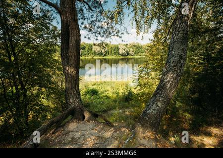 Summer River Landscape Lake. Bäume Reflexionen Im Wasser. Naturschutzgebiet. Natur Lake River Hintergrund Stockfoto