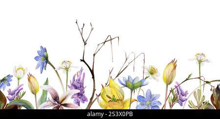 Frühlingsblumenzweig, blaue hepatica Vergissmeinnicht, weiße Waldanemone, Forellenlilie, gelbe Tulpe, corydalis handgezeichnet in Aquarellen. Nahtlos Stockfoto
