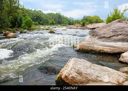Ein ruhiger Fluss rauscht über glatte Steine, umgeben von üppigem Grün. Die Stille der Natur ruft an diesem bewölkten Tag, Invi, eine friedliche Atmosphäre hervor Stockfoto