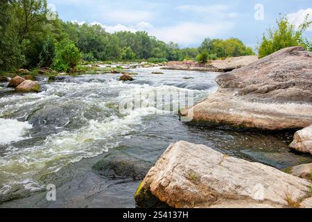 Ein ruhiger Fluss rauscht über glatte Steine, umgeben von üppigem Grün. Die Stille der Natur ruft an diesem bewölkten Tag, Invi, eine friedliche Atmosphäre hervor Stockfoto