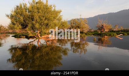 Sonnenaufgang über dem See Kerkini in Nordgriechenland Stockfoto