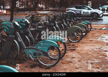 Eine Reihe von Fahrrädern befindet sich in einem Stadtpark inmitten des bunten Herbstlaub Stockfoto