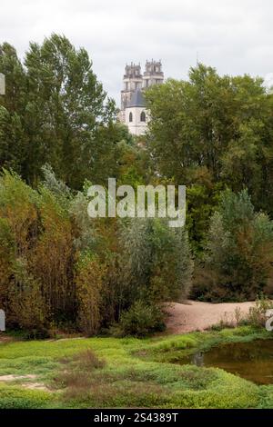 Blick auf die Kathedrale des Heiligen Kreuzes von Orléans, vom nicht schiffbaren Abschnitt der Loire, bekannt als Grand Loire, unterhalb der Pont George-V. Stockfoto