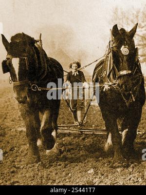 2. Weltkrieg, Ein Pflugmädchen zu einer Zeit, als Frauen die Arbeit ihrer Männer annahmen. Stockfoto