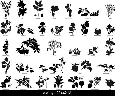 Sammlung von verschiedenen Vektor Beeren und Blumen Stock Vektor