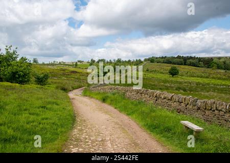 Ein Feldweg schlängelt sich entlang einer Trockenmauer durch die Moorlandschaft des Blacka Moor Nature Reserve, Peak District, Großbritannien Stockfoto