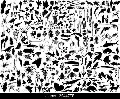 Größte Sammlung von Collage-Vektor-Illustration-Silhouetten Stock Vektor