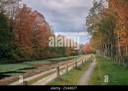 Ein ruhiger Blick auf den Linthorst-Homan-Kanal in Drenthe, Niederlande, mit herbstfarbenen Bäumen und einem ländlichen Pfad unter bewölktem Himmel. Stockfoto