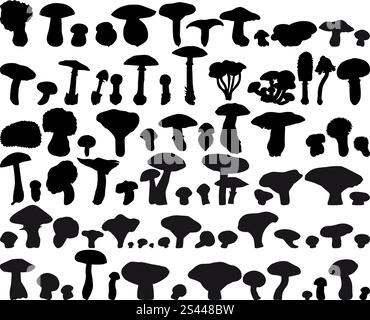 Große Sammlung von verschiedenen Vektor Pilz Silhouetten Stock Vektor