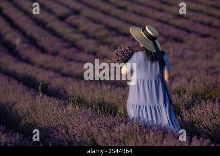 Lavendel Provence Woman Harvesting: Eine Frau in einem Kleid erntet im Sommer Lavendel auf einem provenzalischen Feld und genießt die duftenden violetten Blüten. Stockfoto