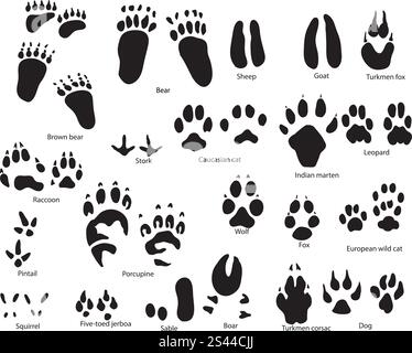 Größte Sammlung von Tier- und Vogelwelt Trails mit Titel Stock Vektor