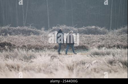 Richmond Park, London, Großbritannien. Januar 2025. Die Temperaturen im Richmond Park bleiben tagsüber unter dem Gefrierpunkt und Eiskristalle bilden sich auf dem Laub, auch wenn einige einheimische die gefrorene Landschaft genießen. Quelle: Malcolm Park/Alamy Live News Stockfoto
