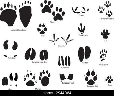 Größte Sammlung von Tier- und Vogelwelt Trails mit Titel Stock Vektor