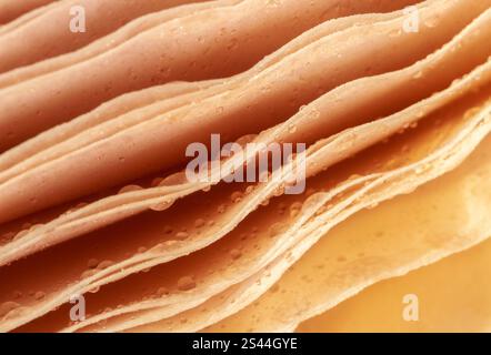 Makrofotostrukturoberfläche eines Wildpilzes und Tautropfen. Hintergrundmuster für Design. Draufsicht. Unschärfe und selektiver Fokus Stockfoto