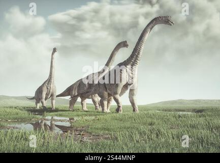 Brachiosaurus Arten in der Natur. Dies ist eine 3D-Render-Abbildung. Stockfoto