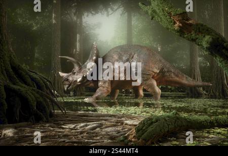 Triceratops Dinosaurier im Wald. Dies ist eine 3D-Render-Abbildung Stockfoto