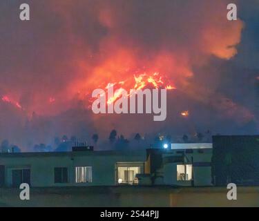 8. Januar 2025: Los Angeles, CA, USA – Waldbrände umhüllen den Runyon Canyon in der Nähe des Sunset Boulevard in Los Angeles, KALIFORNIEN. Stockfoto