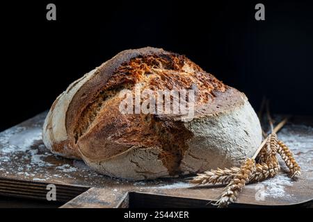 Runder Laib frisch gebackenes Sauerteigbrot mit Weizenohren auf Holzschneidebrett, Nahaufnahme. Rustikales Sauerteigbrot. Kochen gesunder Sauerteig br Stockfoto