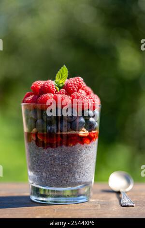 Gesunder Chia Pudding in einem Glas mit frischen Beeren auf Naturhintergrund, Nahaufnahme. Chiasamen in Kokosmilch mit Himbeeren, Heidelbeeren, Marmelade und h Stockfoto